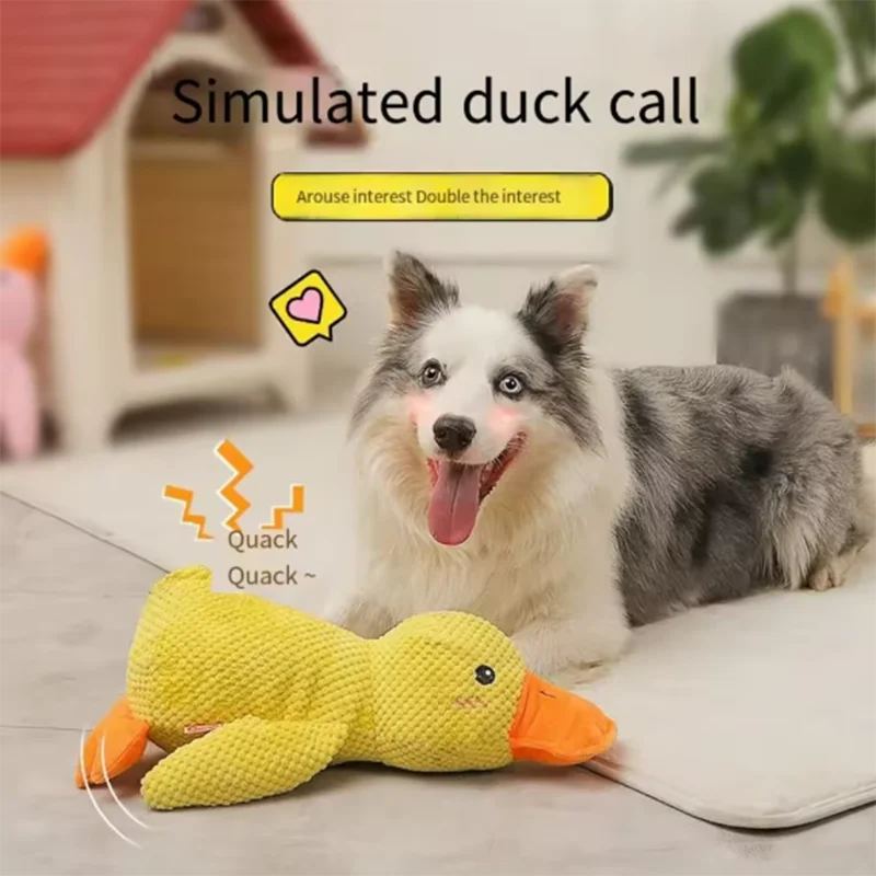 The QuackMate™ Interactive Duck