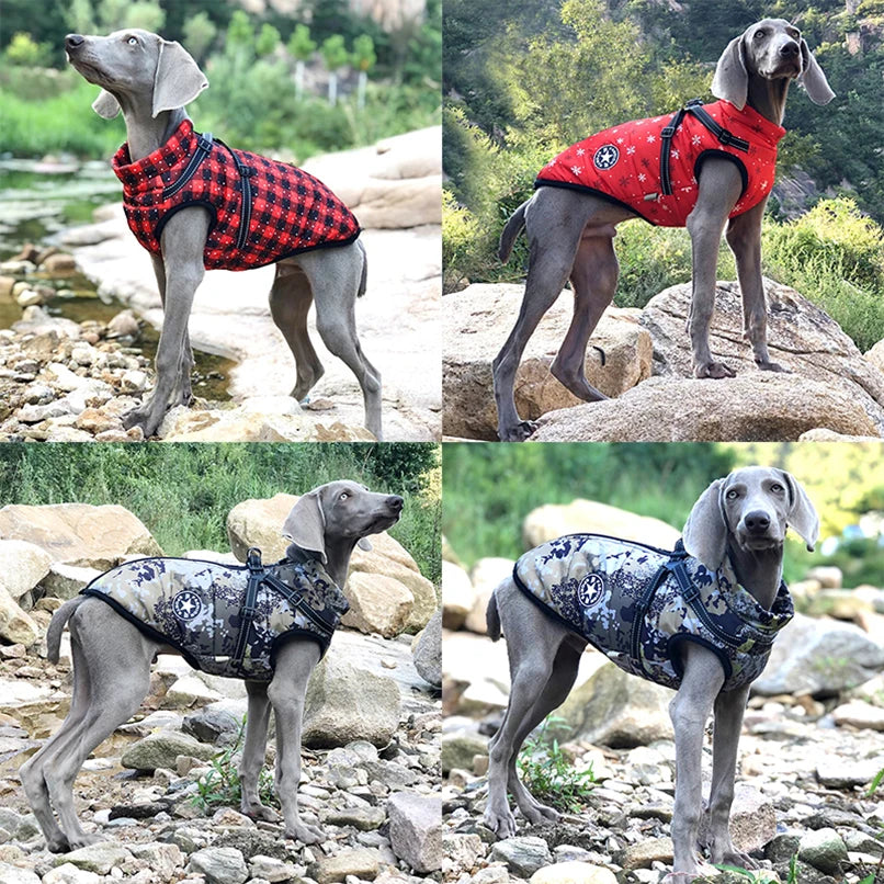 The ArcticPaw Thermal Dog Jacket