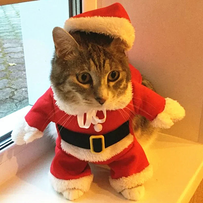 The Santa Paws™ Holiday Costume