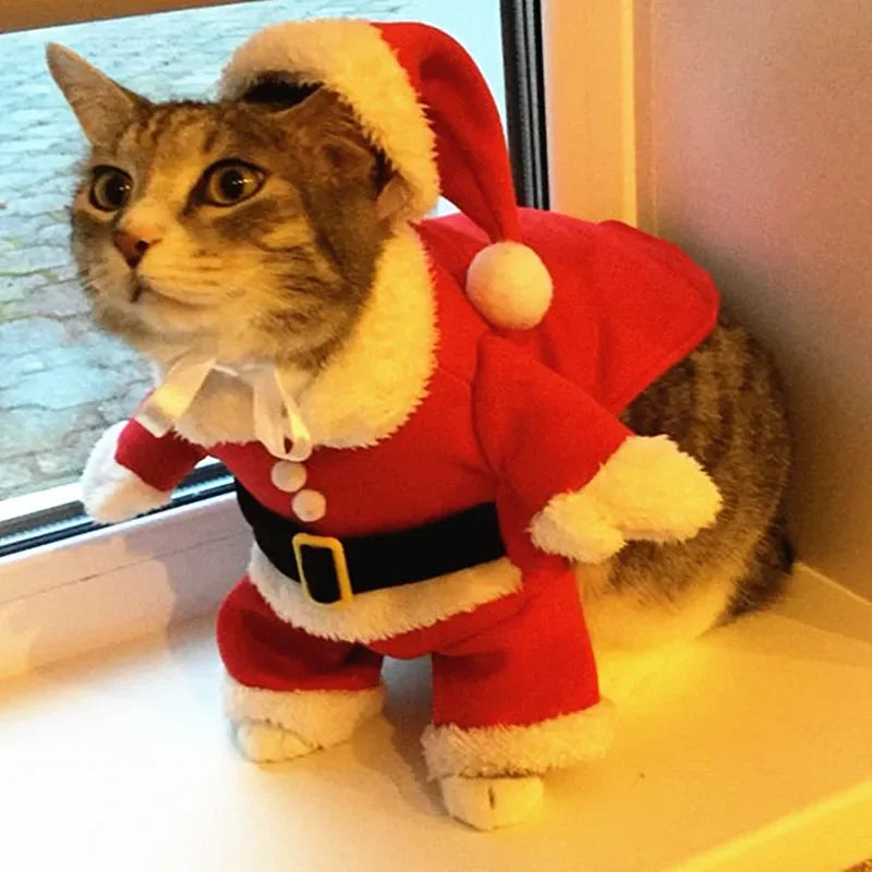 The Santa Paws™ Holiday Costume